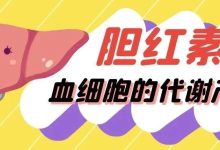 认识检查 | 胆红素——血细胞的代谢产物-溶贫家园