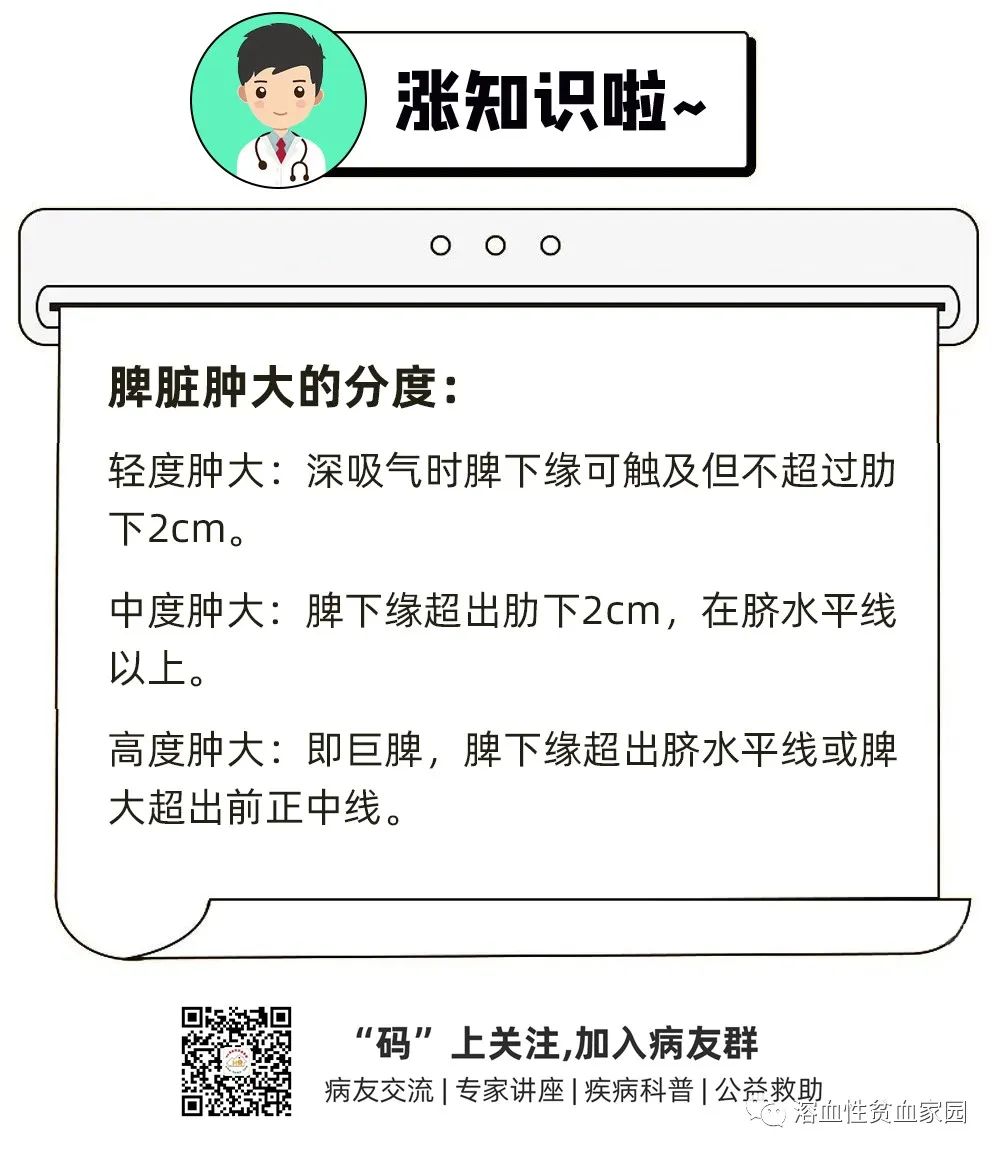 科普时间 | 老顽“脾”,真让人操心!