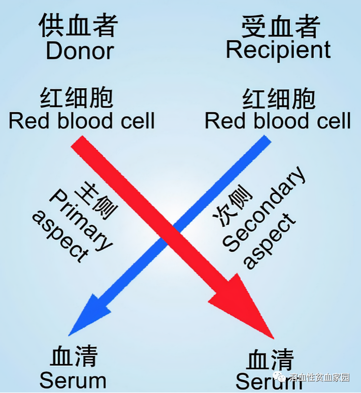 认识检查 | 交叉配血试验，输血前的守门员